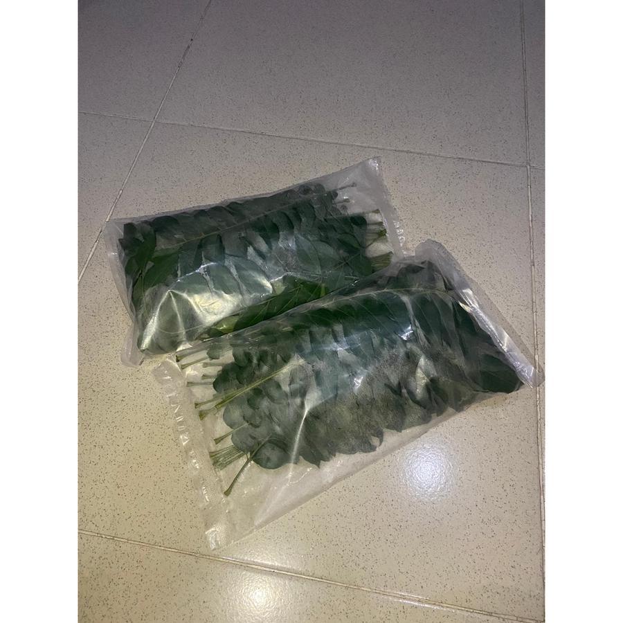 

Daun Kare / Daun Kari Segar / Daun Salam Koja / Fresh picked (50gr) - per batang