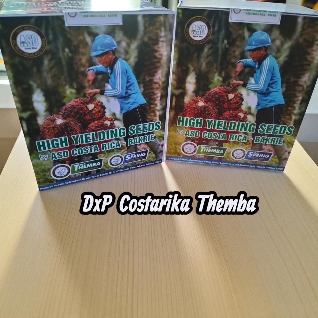 benih kecambah sawit Costarika Themba