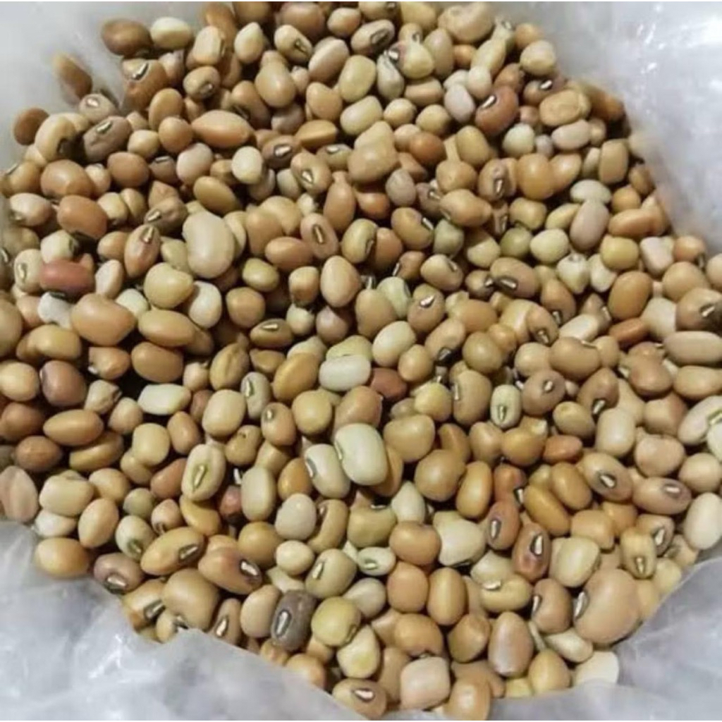 

Kacang Tunggak 1 Kg