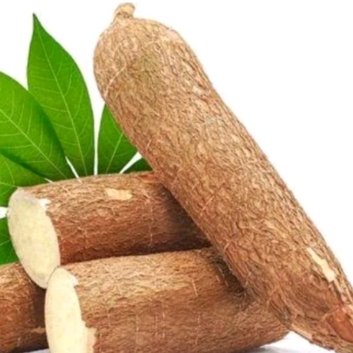 

singkong mentega singkong kuning 1kg