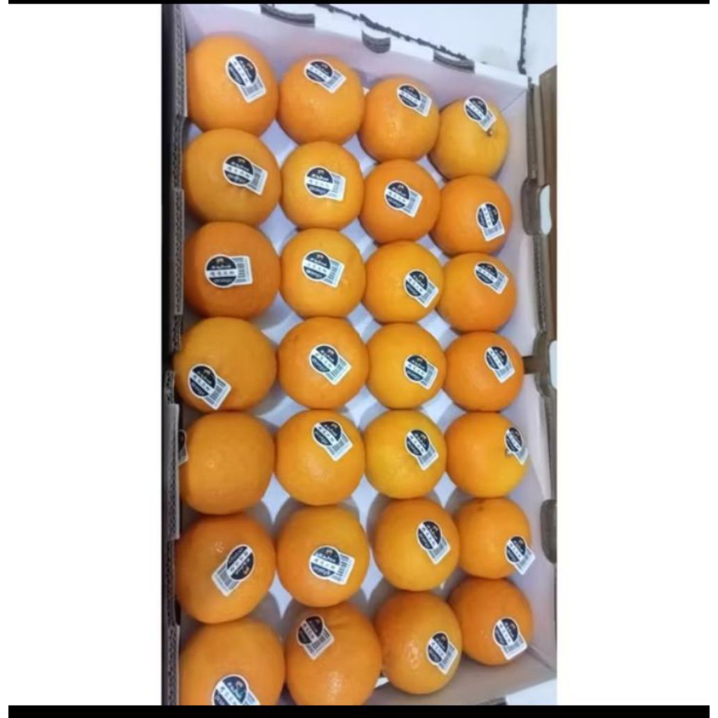 

Jeruk Wogan Orange super manis fresh 9kg/box