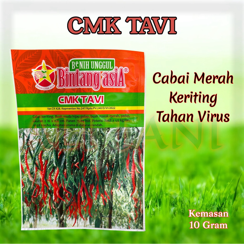 Benih / Bibit Cabe Keriting CMK Tavi Tahan Virus Cap Bintang Asia 10 Gr