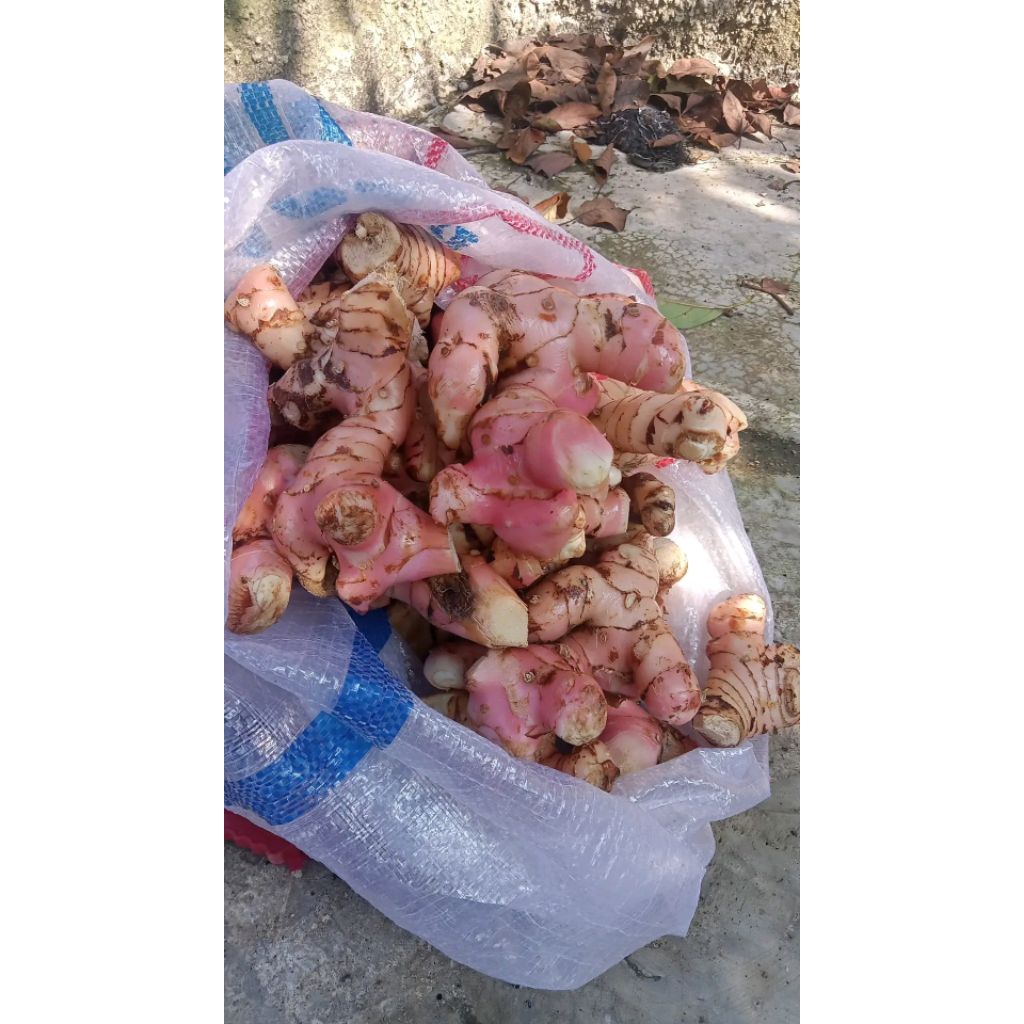 

langkowas - lowas -laja super 1 kilo super