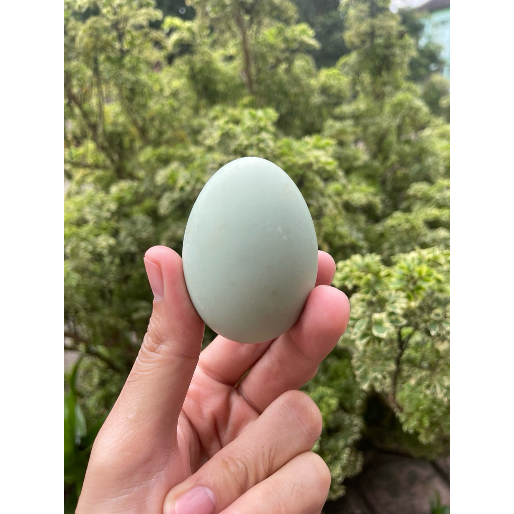 

[New] Telur Asin Masir 10 Butir