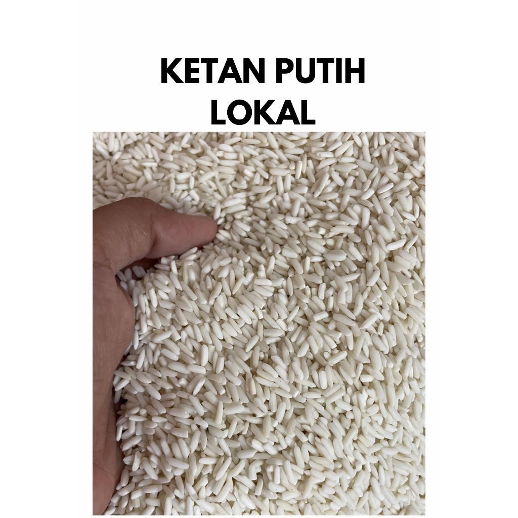 

KETAN PUTIH LOKAL KETAN PUTIH HARGA MURAH BERKUALITAS