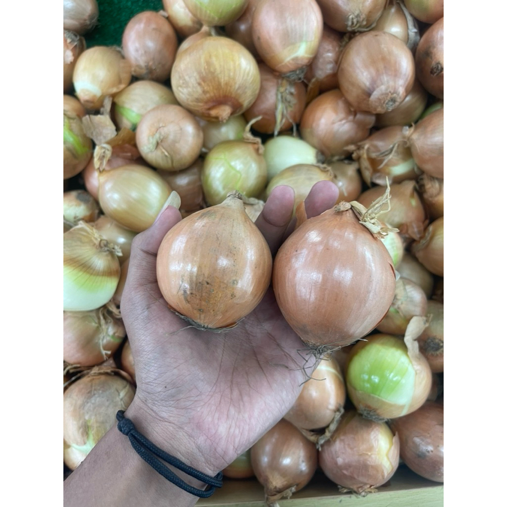 

Bawang Bombay Putih Fresh 1 kg