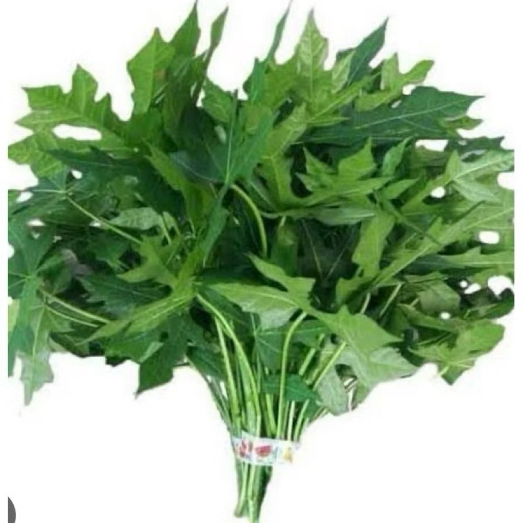 

Daun pepaya muda segar 1 ikat sayur bandung