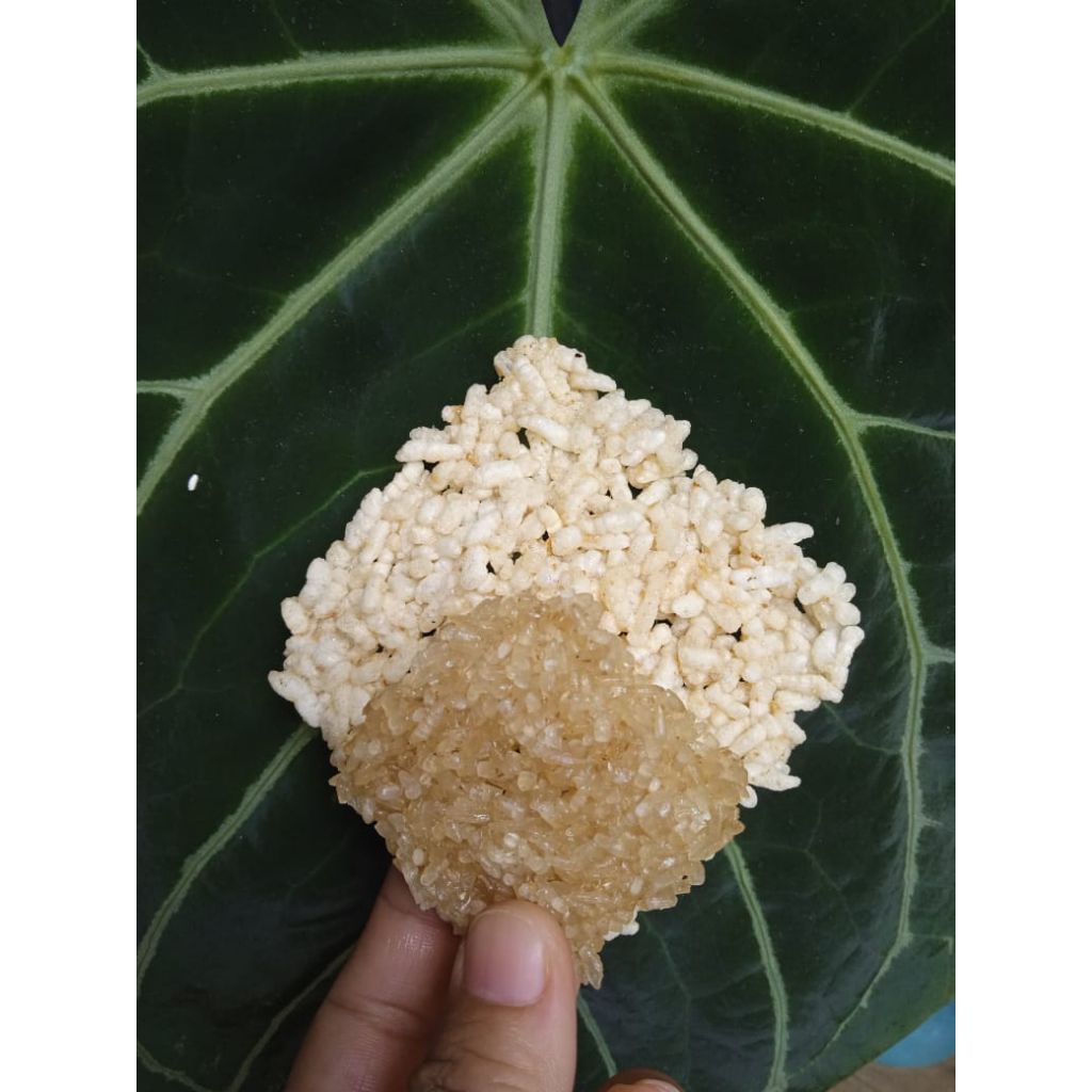 

RENGGINANG MENTAH