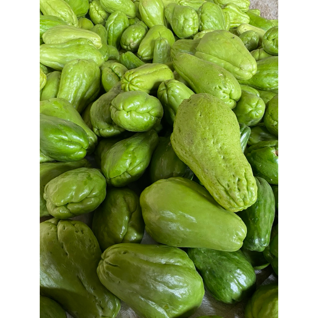 

LABU SIAM/JIPANG FRESSH SEGAR 1KG