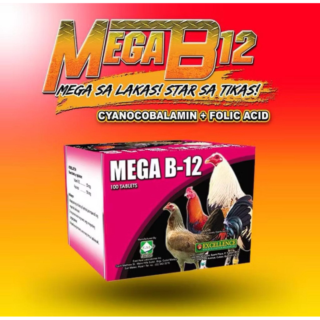 Mega B12 Mega B12 adalah suplemen yang mengandung vitamin B12, yang memiliki berbagai manfaat untuk 