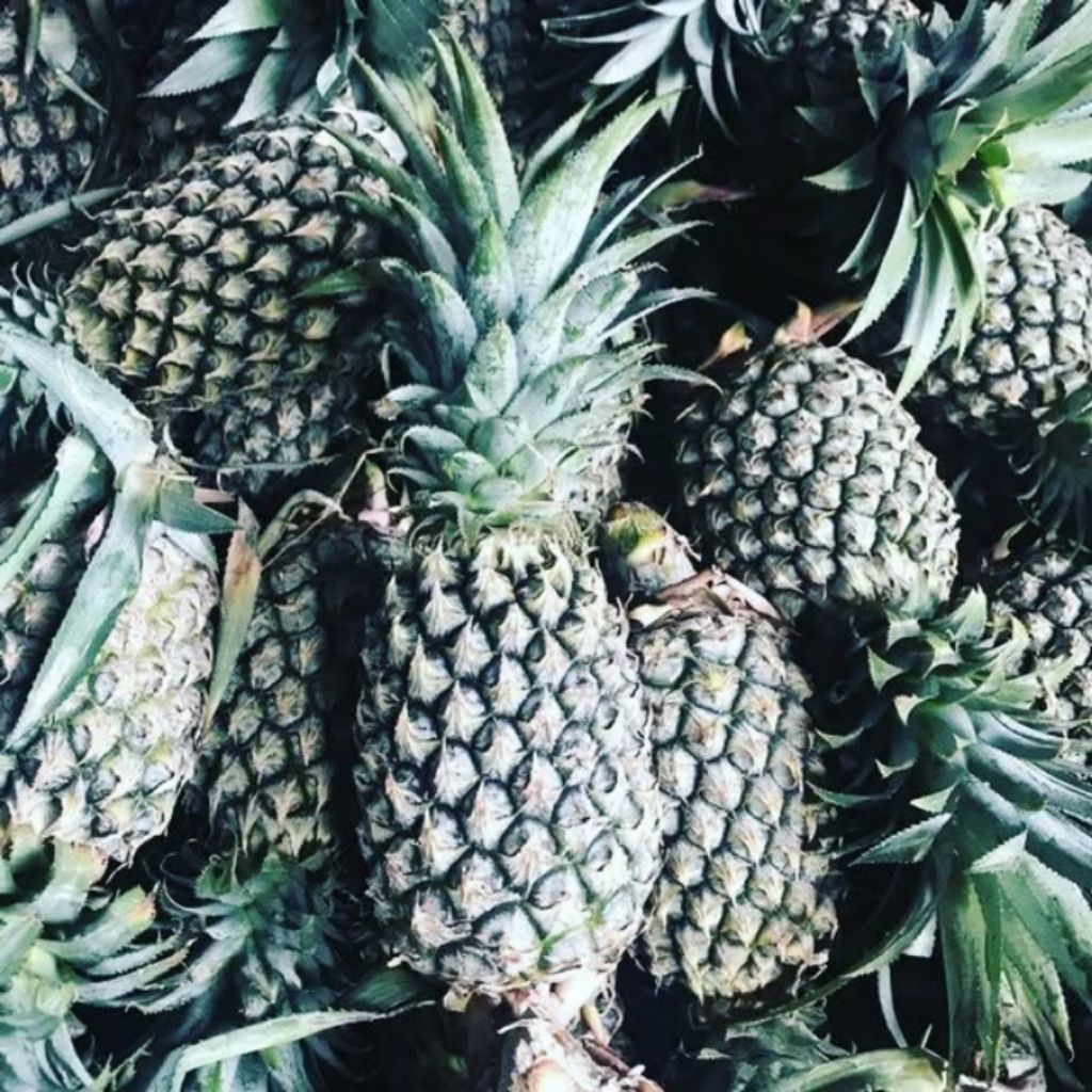 

nanas JUMBO Palembang 1buah fresh