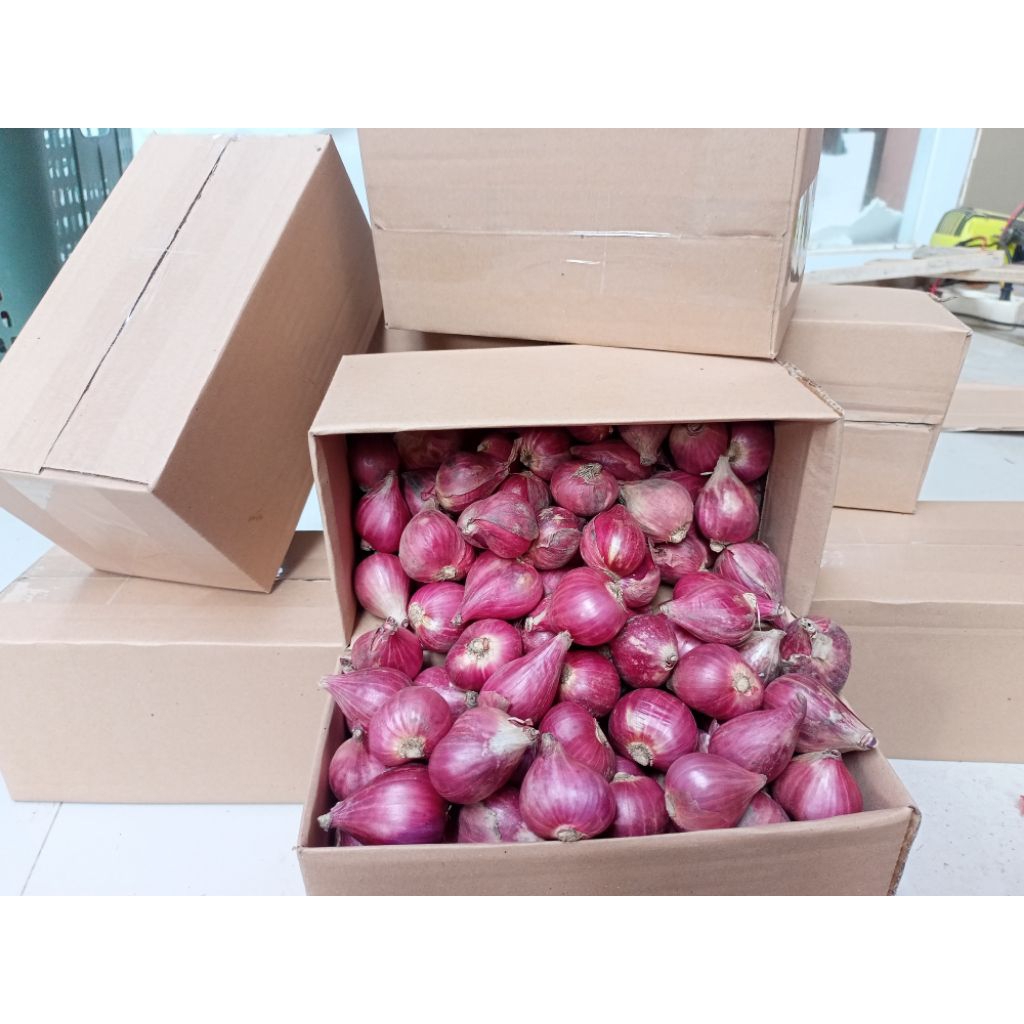 

(BISA COD) 500GR BAWANG MERAH BREBES UKURAN BESAR FRES DAN KERING BAGUS BM BREBES SETENGAH KILO