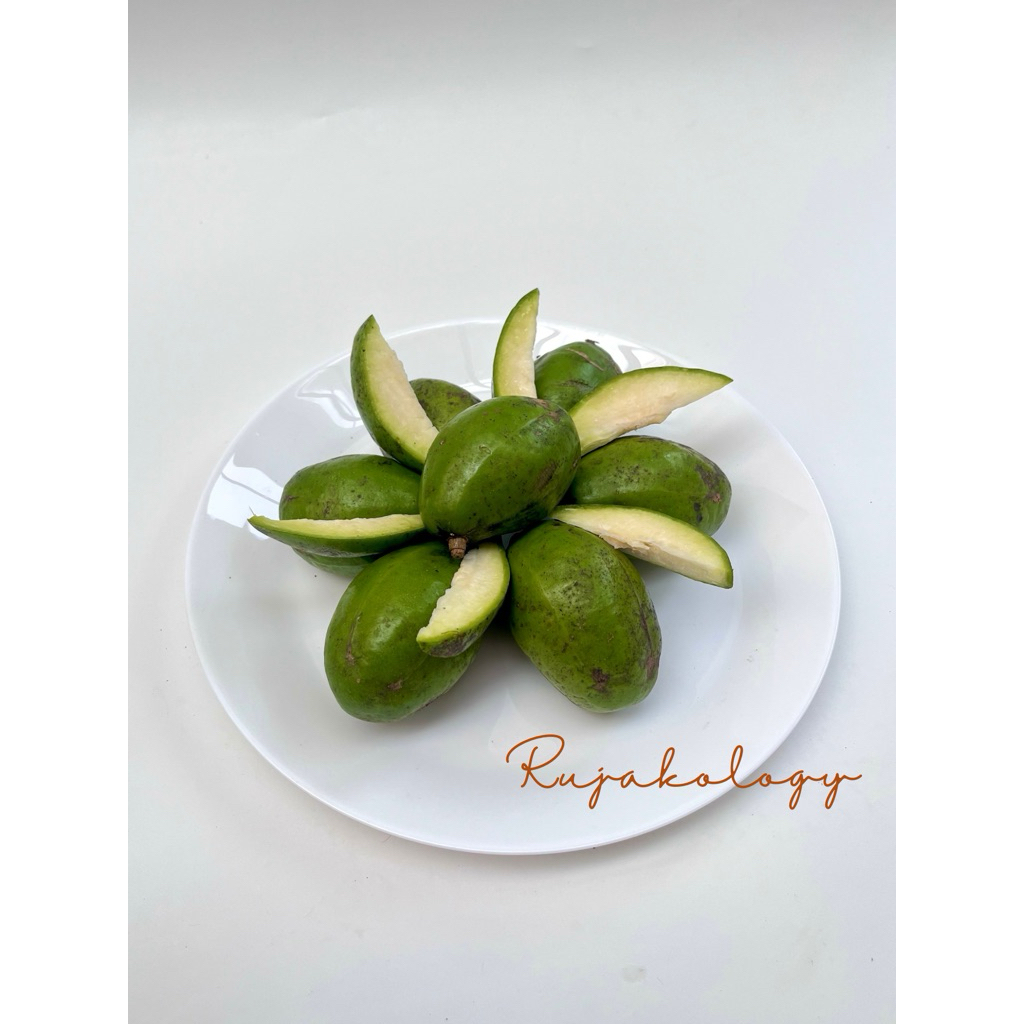 

KEDONDONG BANGKOK SUPER FRESH