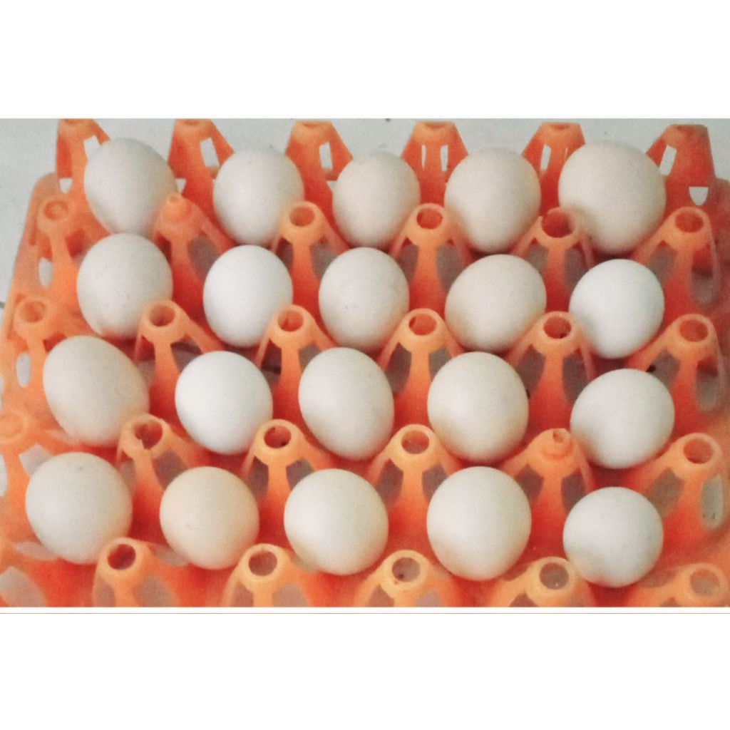 

telur ayam kampung