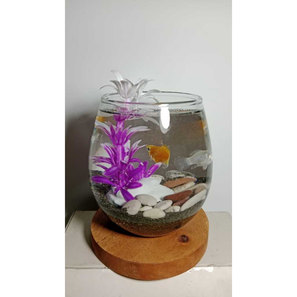Aquarium vas bunga daun mini kaca tabung tuscani bulat ikan cupang guppy akuarium hiasan meja kerja