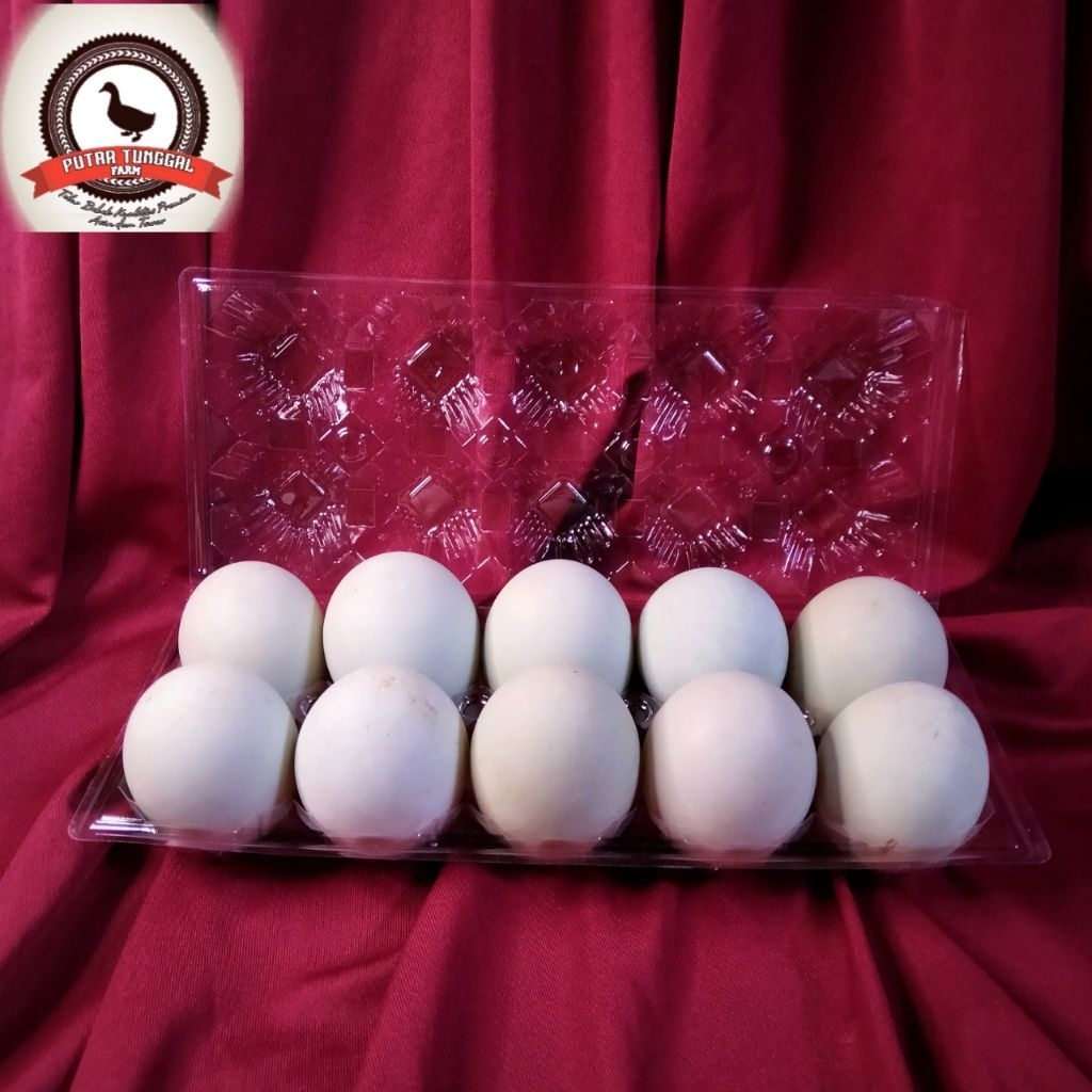 

Telor bebek mentah Omega grade A & AB jumbo