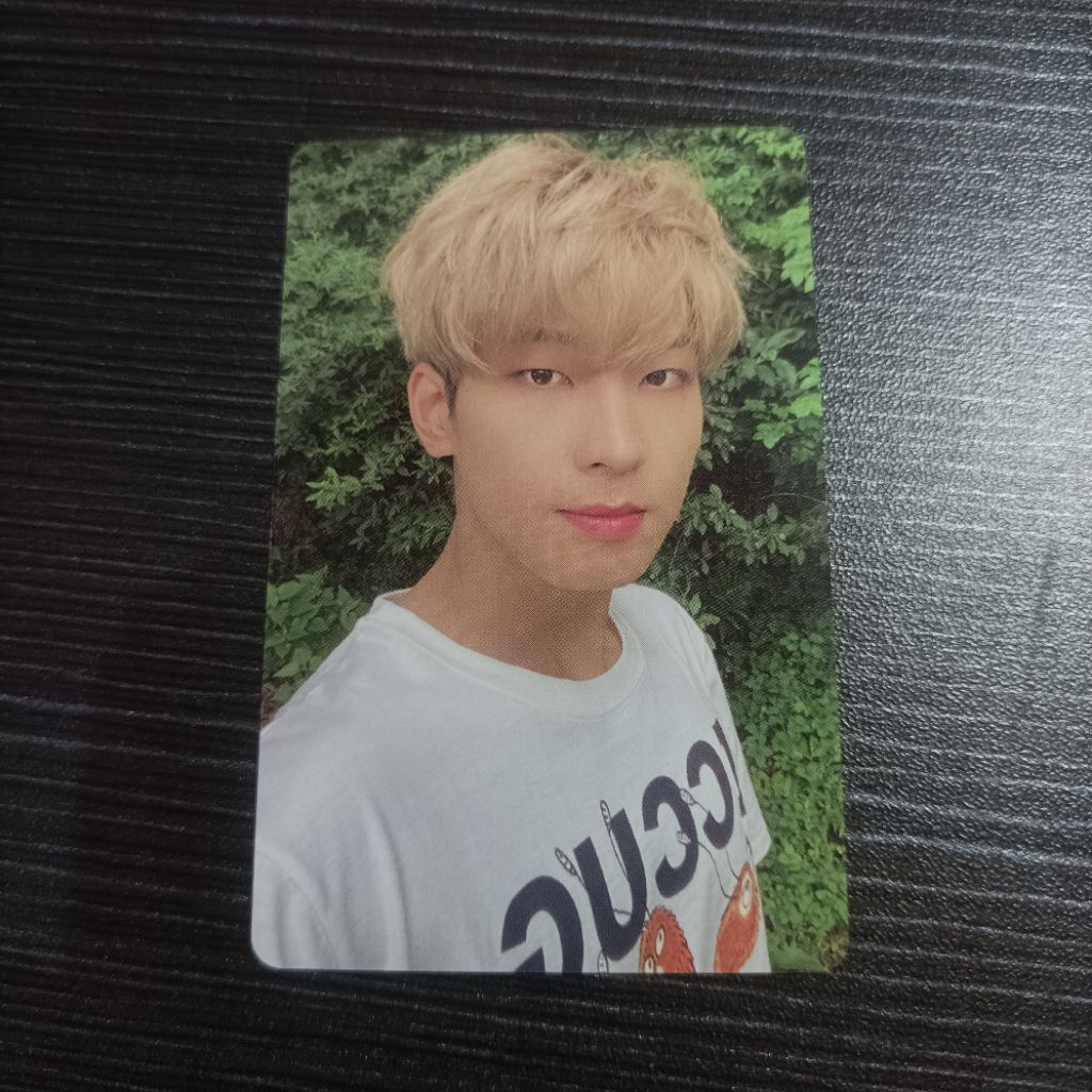 Wonwoo Seventeen Dicon 101 Photocard Official