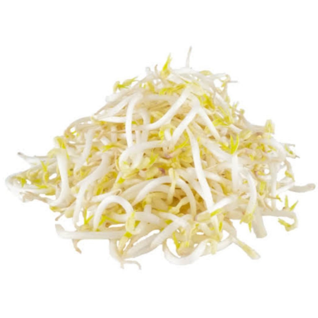 

tauge/kecambah 500gram bpp