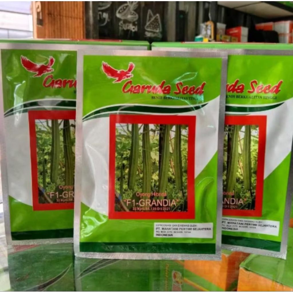 F1 GRANDIA Benih Bibit Oyong Super Gambas F1 GARUDA SEED