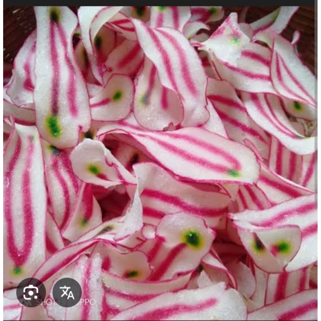 

krupuk singkong mentah