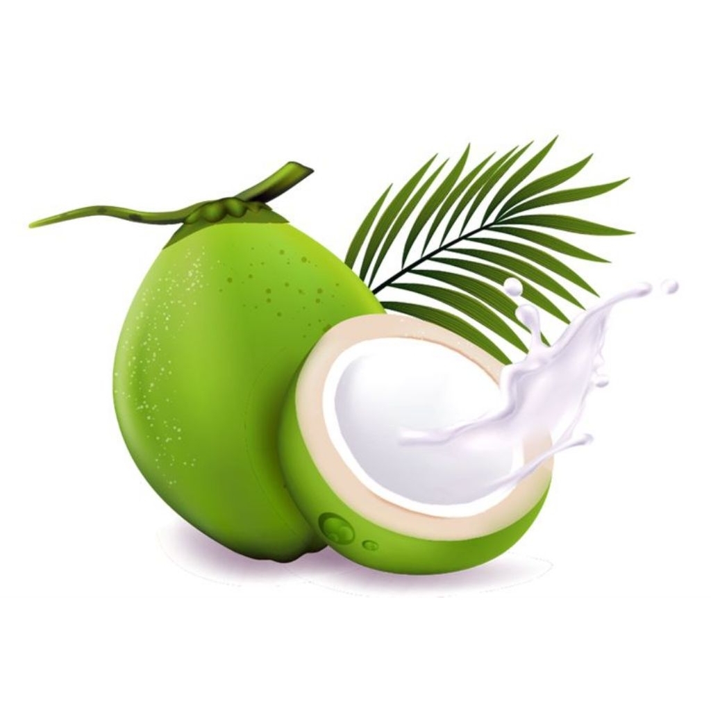 

Sari kelapa freshwater 500gr (5D)