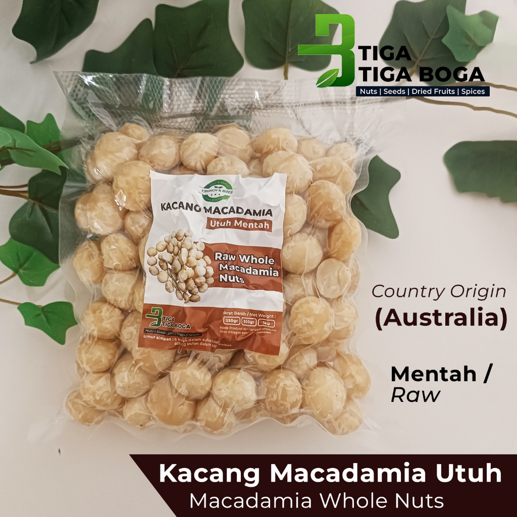 

Kacang Macadamia Mentah Utuh / Raw Peeled Whole Macadamia Australia