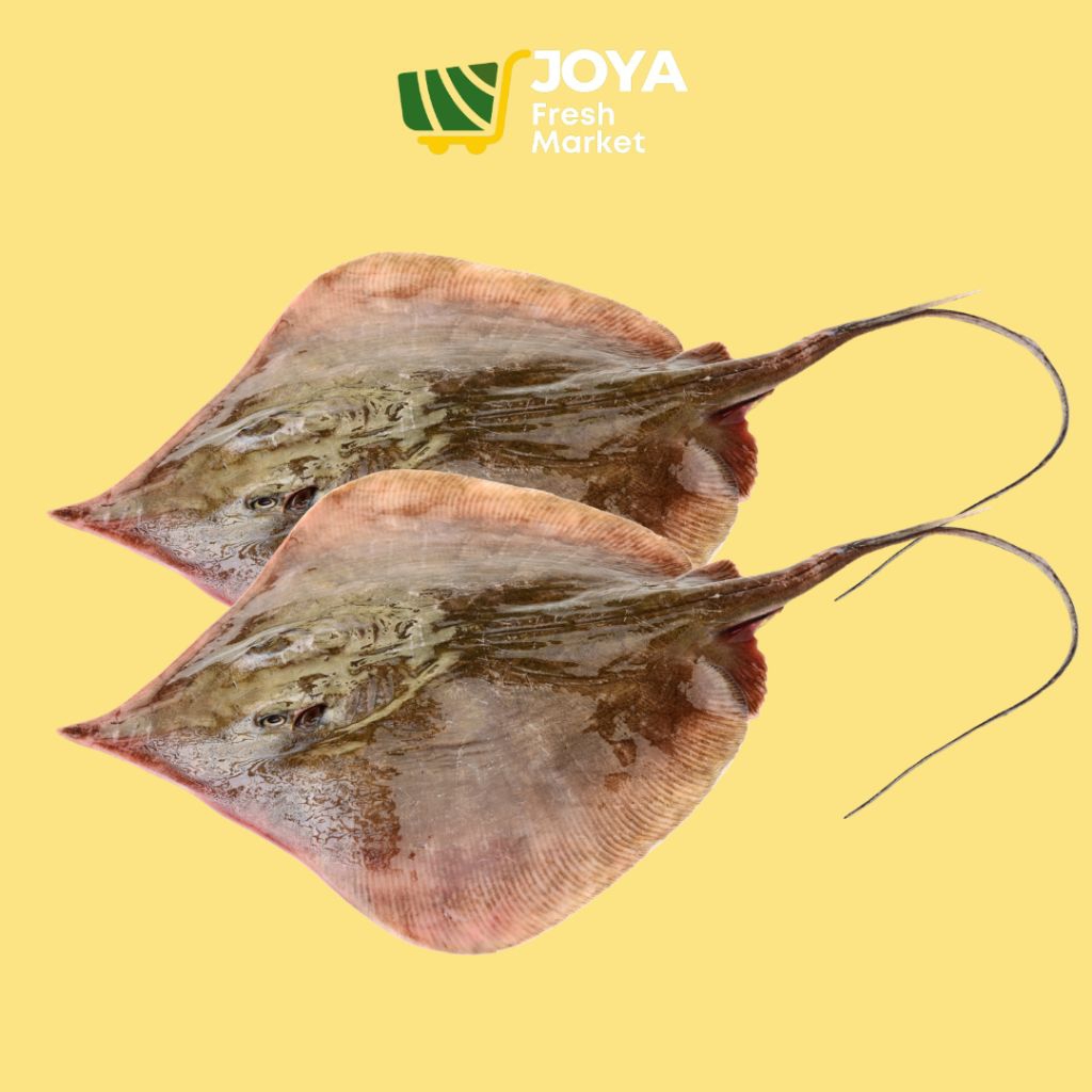 

Joya Fresh - Ikan Pari Segar/Seafood Segar/Ikan Pari Fresh