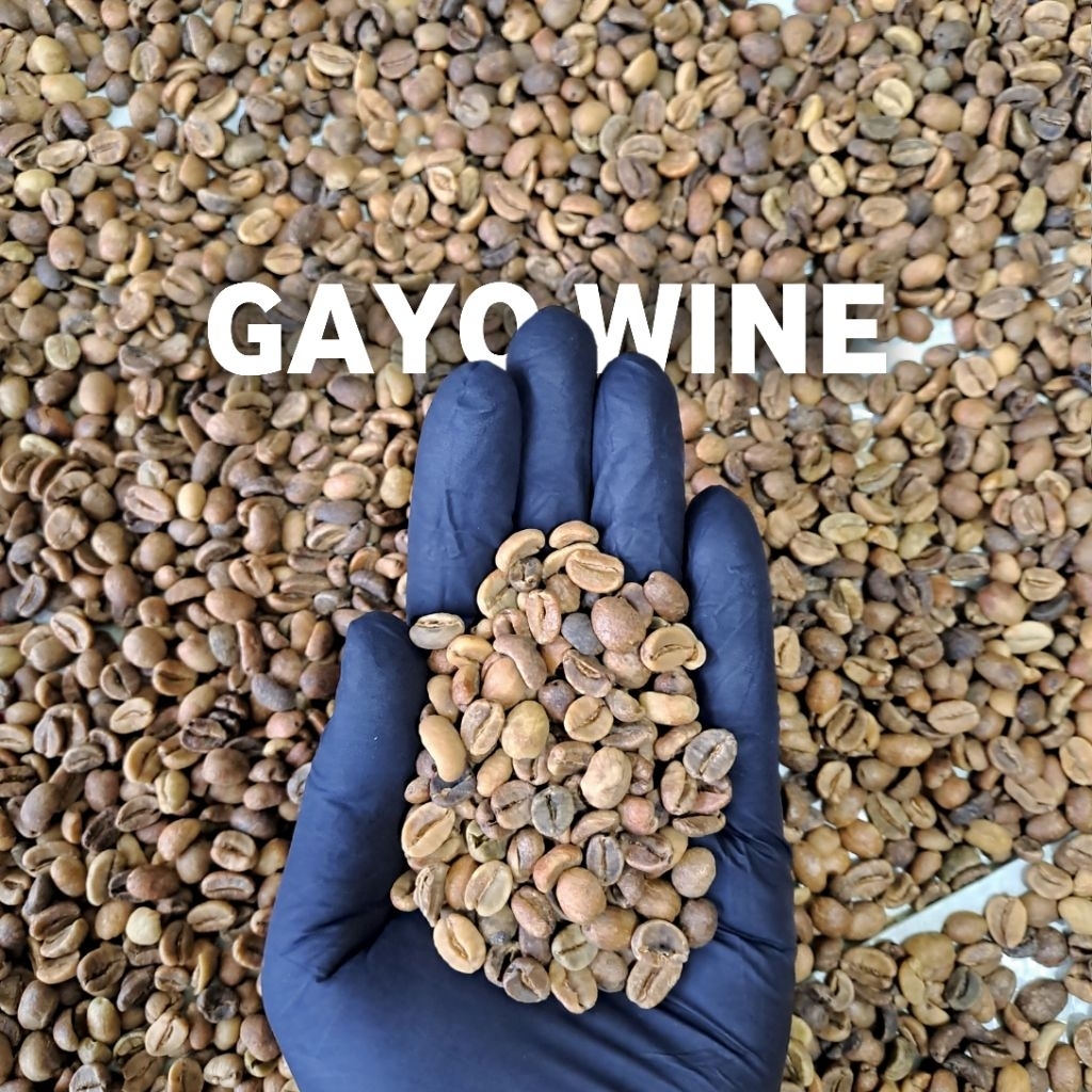 

Green Bean Gayo Wine G1 | Yong Coffee