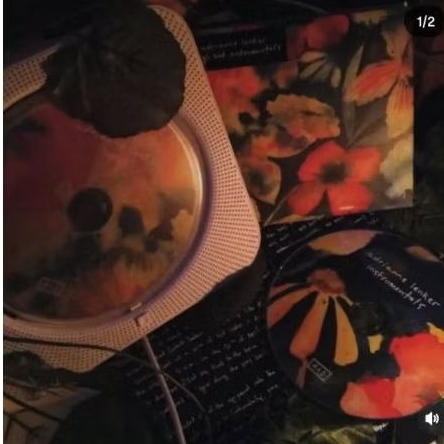 CD adrianne lenker preloved