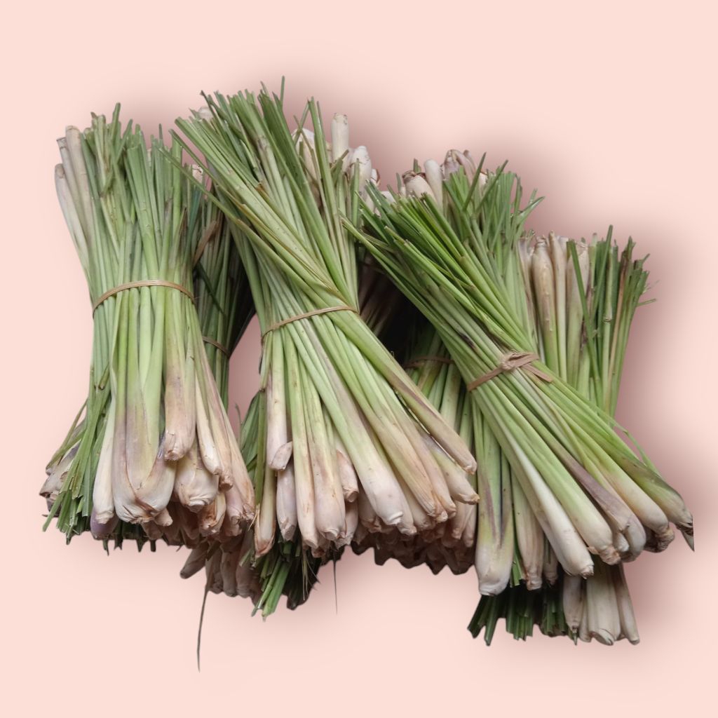 

PROMO 3 kg serai segar, Lemongrass fress, sereh sayur, rempah2, dll