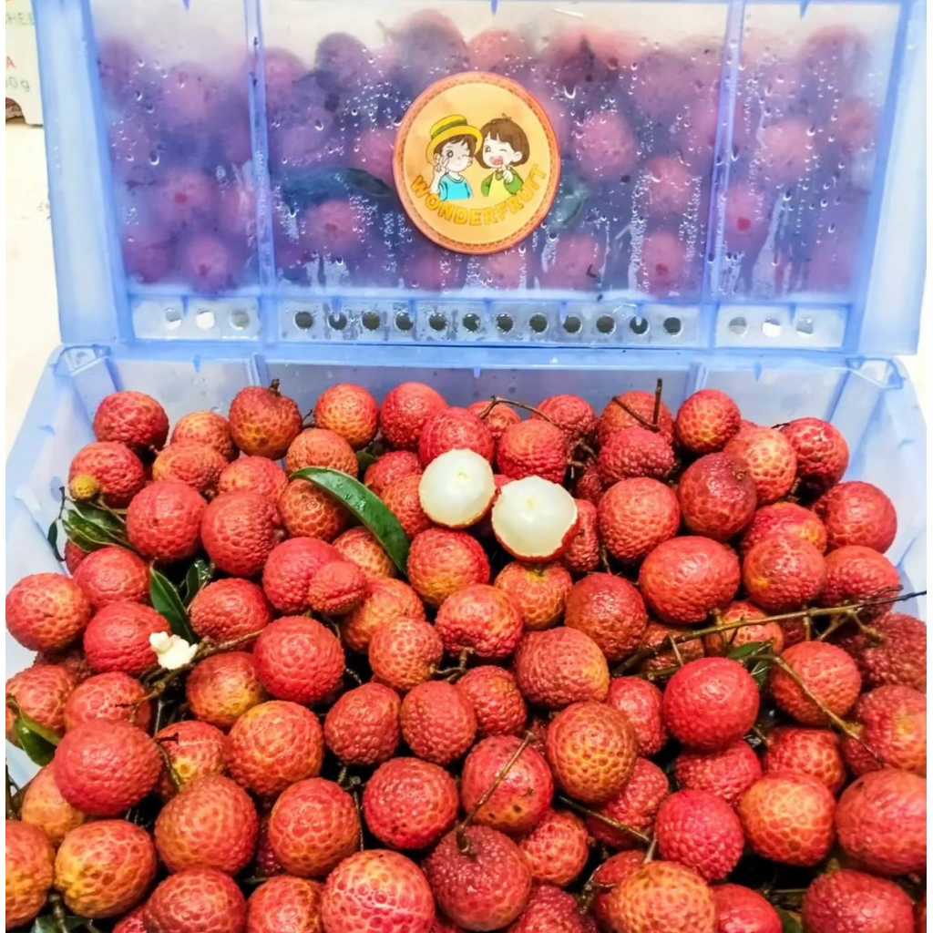 

leci Merah Ada Biji Manis Fresh 1,5 kg