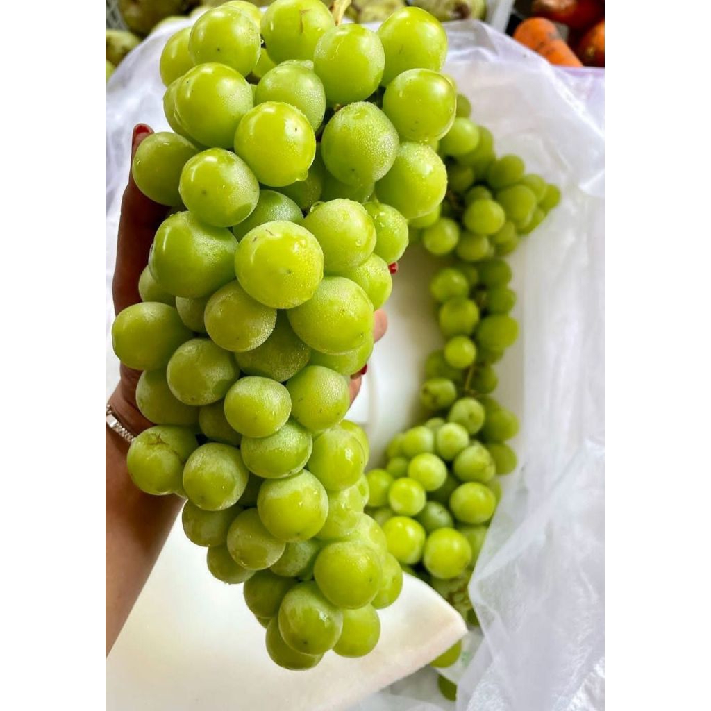 

anggur muscat 1kg 70.000