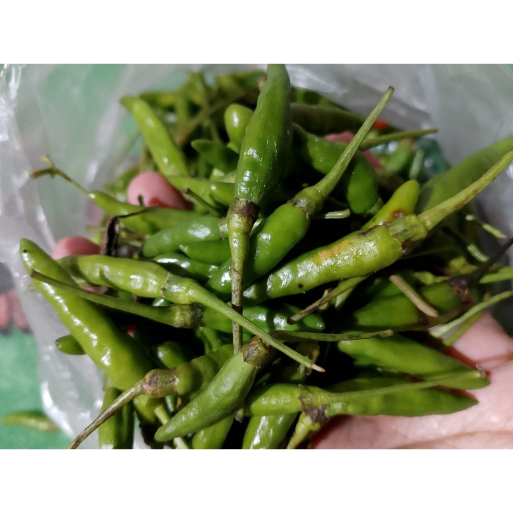 

Cabe Cabai Rawit Hijau Fress Langsung Dari Petani