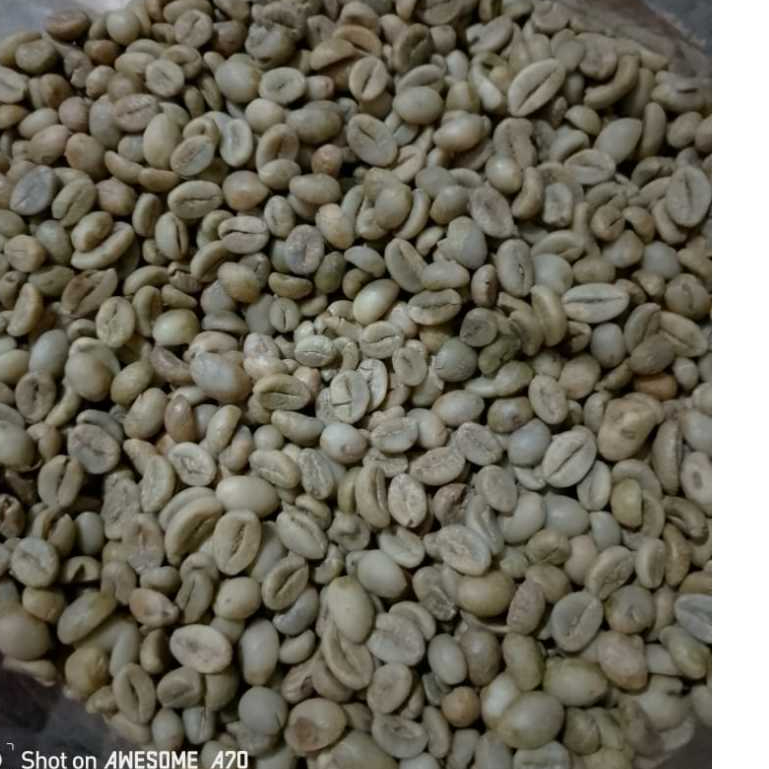 

500Gr Greenbean Robusta Gemawang Temanggung ''Grade 1''