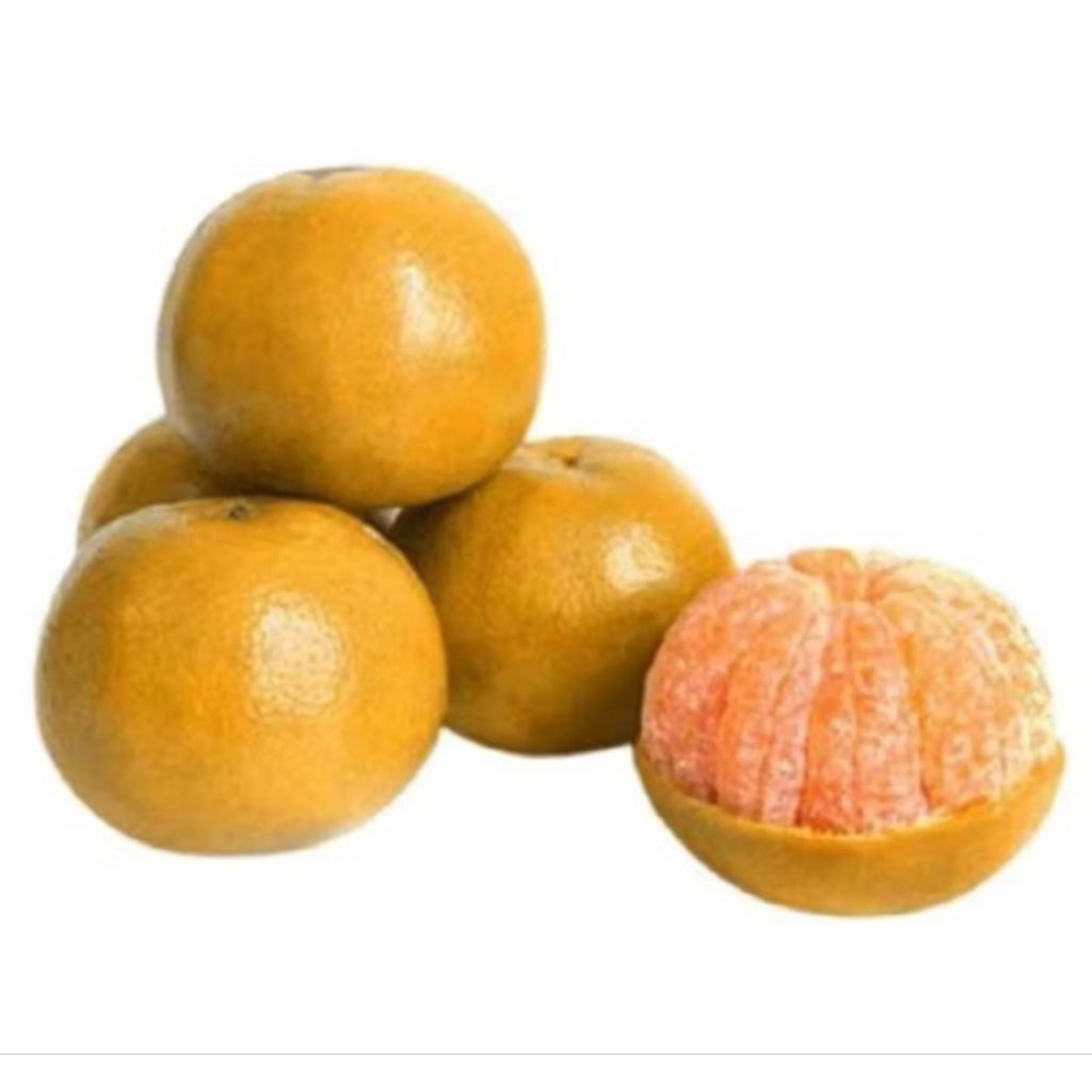 

Jeruk Medan segar 500gr..