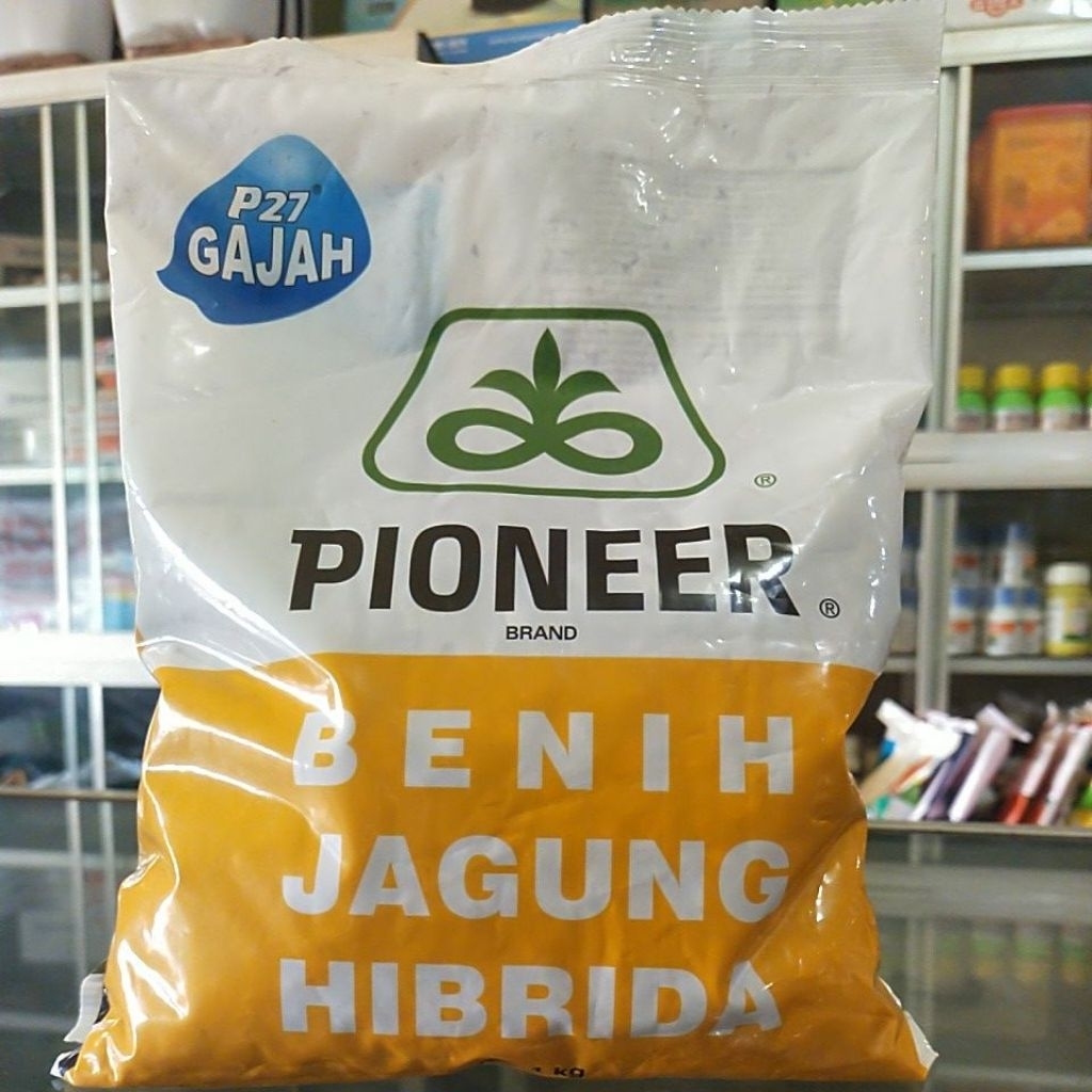 BENIH JAGUNG PIONEER P27 GAJAH
