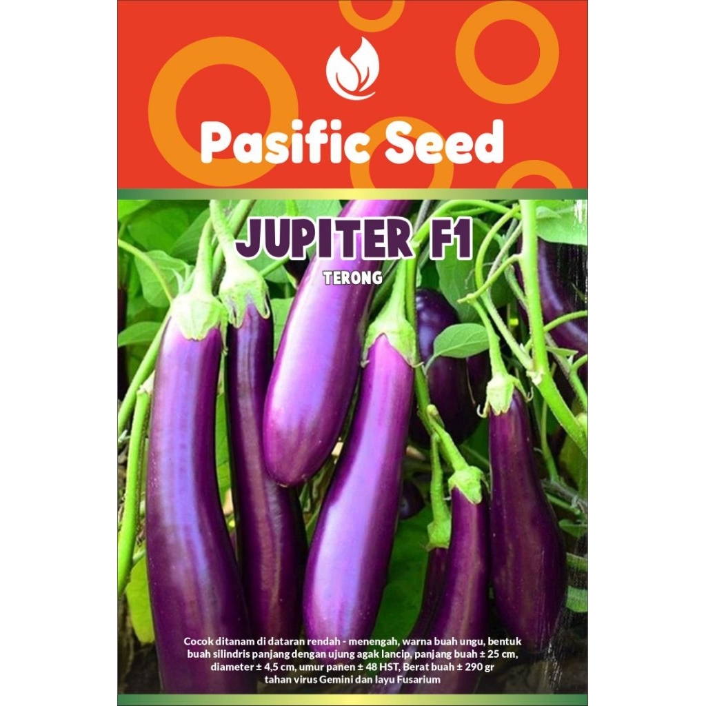 

Benih Terong Ungu Jupiter 5 gram