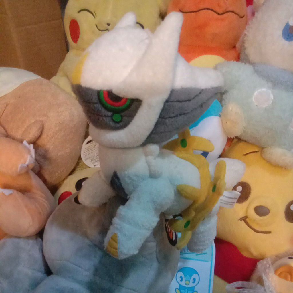 Arceus pokedoll pokcen