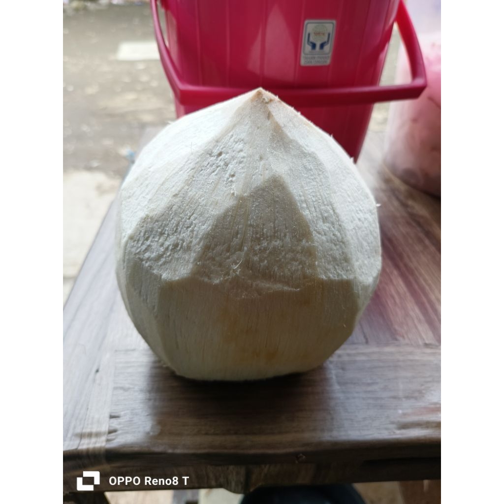 

kelapa muda kupas bersih diamond