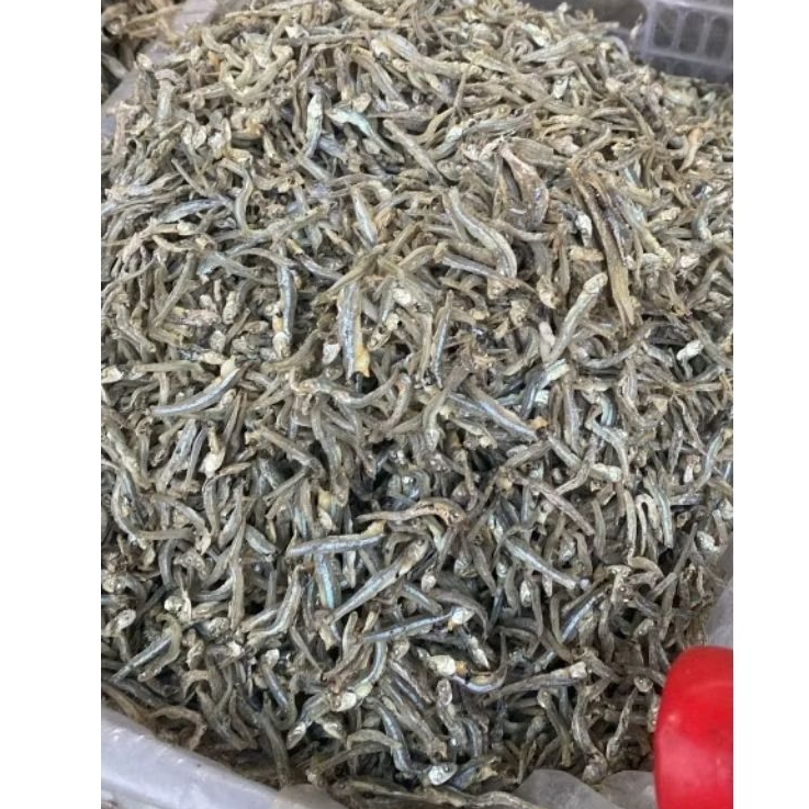 

Ikan Teri Kalimantan / Ikan Teri Hitam / Kang He / Ikan Bilis / Ikan Teri Murah / Ikan Teri Pontianak / Ikan Teri Lokal / Ikan Teri Kalimantan Barat