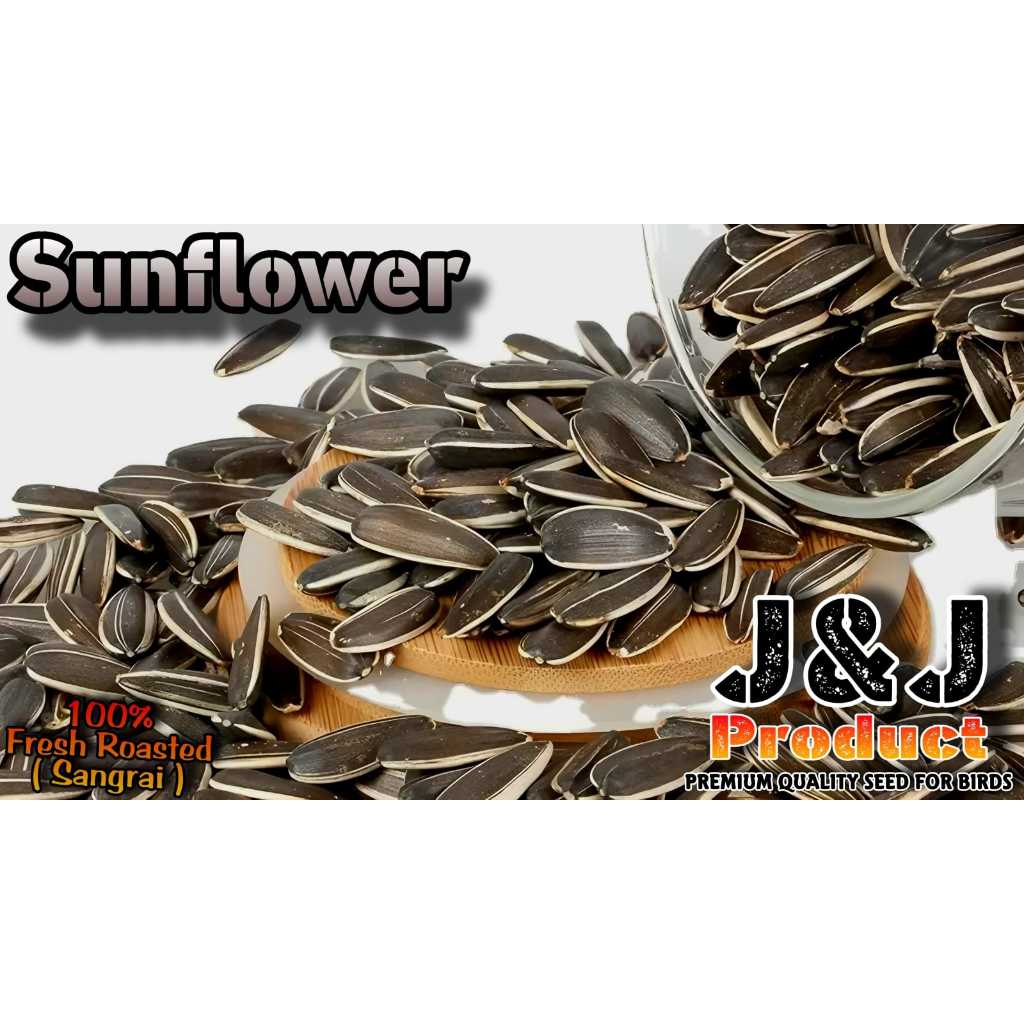 

Kuaci sunflower seed kwaci belang