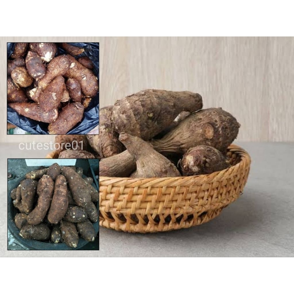 

Talas Pulen Umbi Kimpul Bersih 500Gram