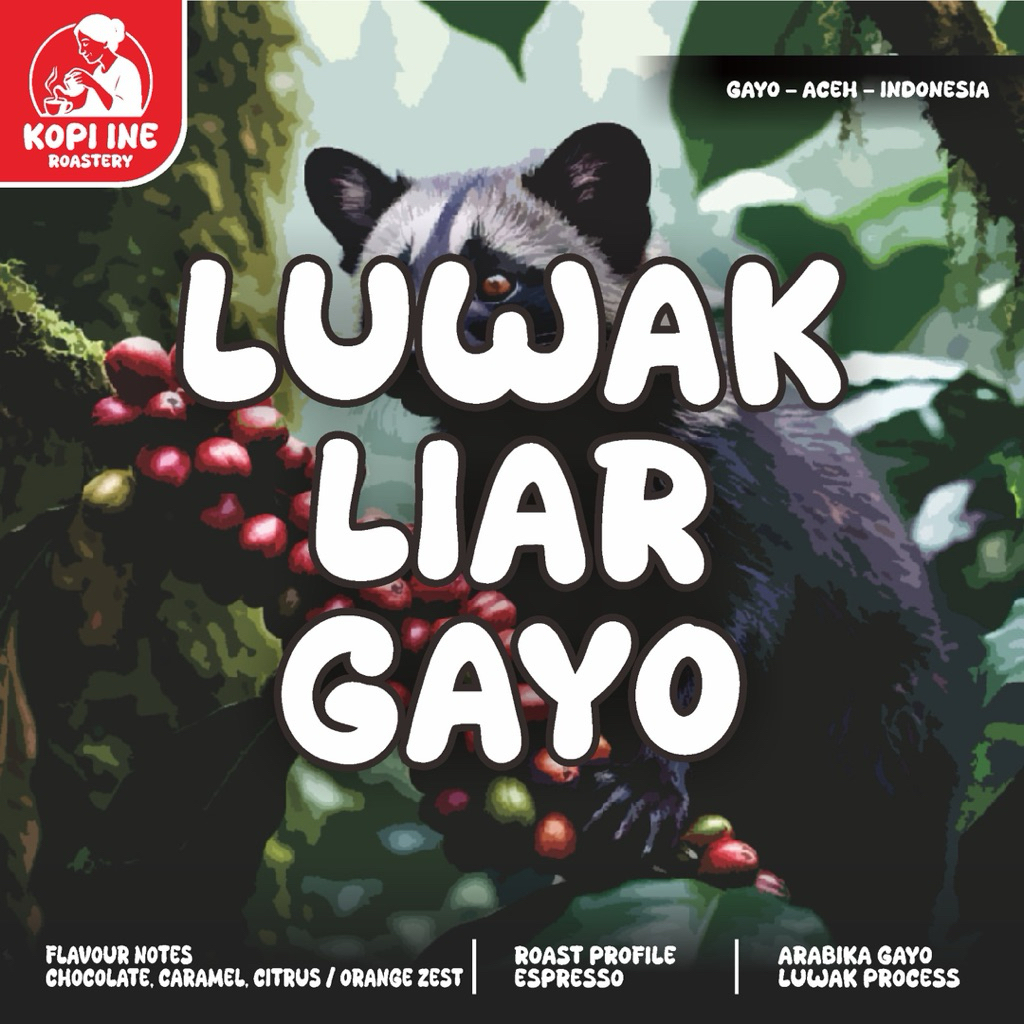 

Kopi Aceh Gayo Arabika Luwak Liar Asli-Premium Luwak