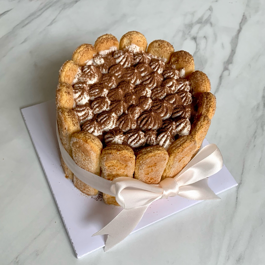 

tiramissu charlotte cake