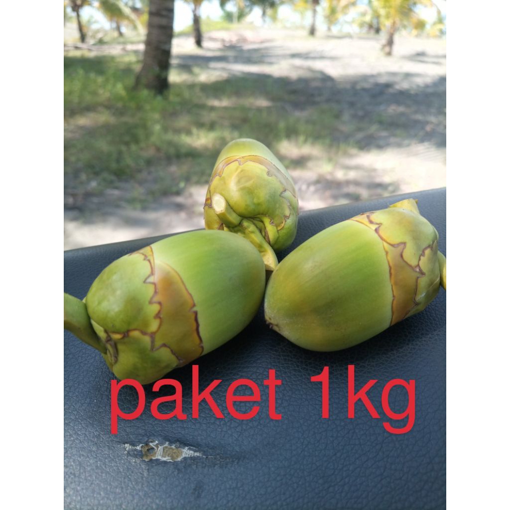 

beluluk kelapa paket 1kg