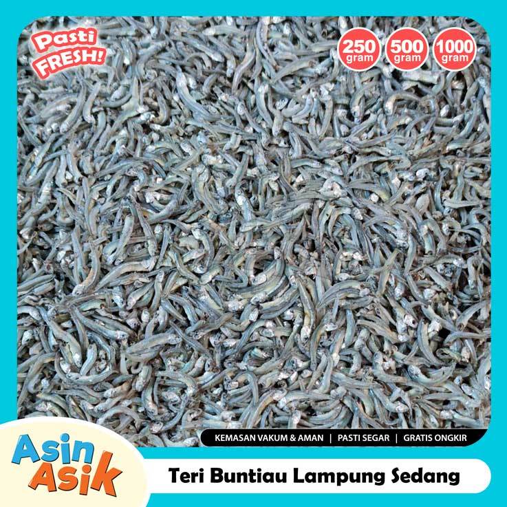 

Ikan Asin Teri Buntiau Buntio Lampung Top Kualitas Super Segar Fresh Kemasan Vakum