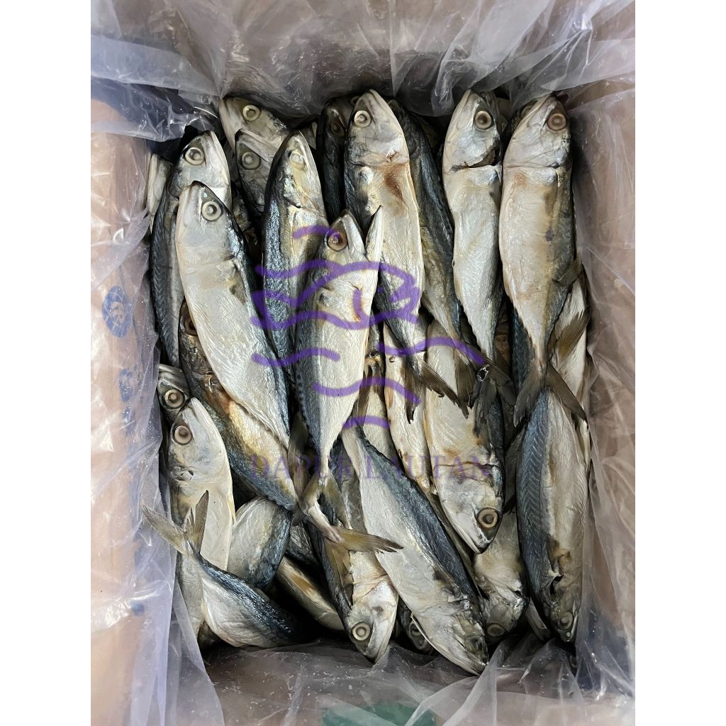 

Ikan Asin Peda Putih / Kembung Banjar Berat 250gr, 500gr & 1000gr