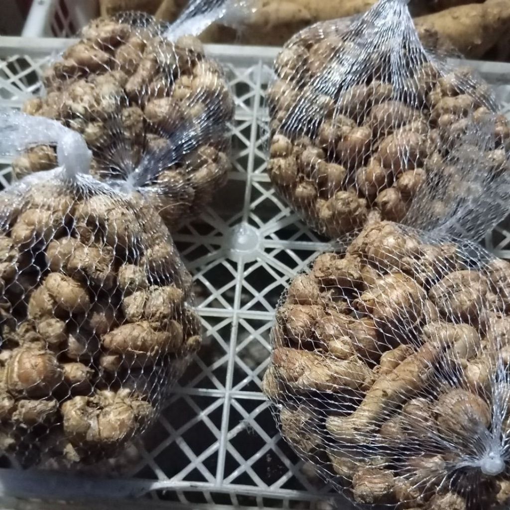 

KENCUR CIKUR BUMBU SEBLAK 250 GR