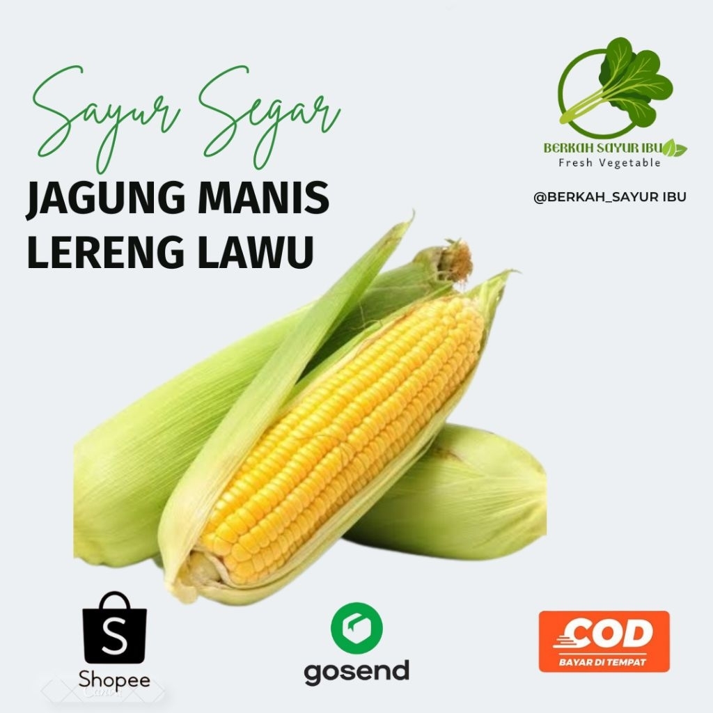 

BERKAH_SAYURIBU-Jagung Mani Fresh 1kg