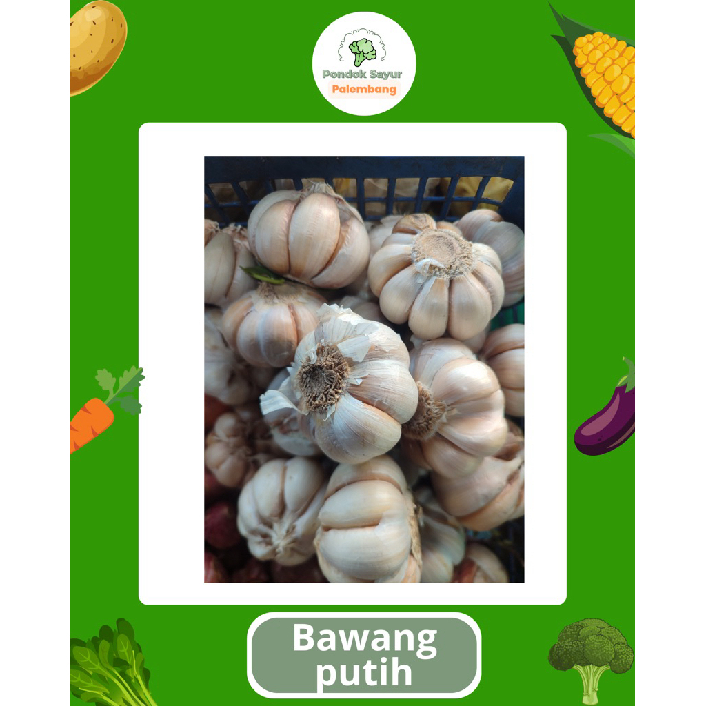 

BAWANG PUTIH